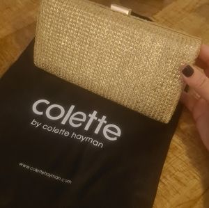 colette laptop bolsa